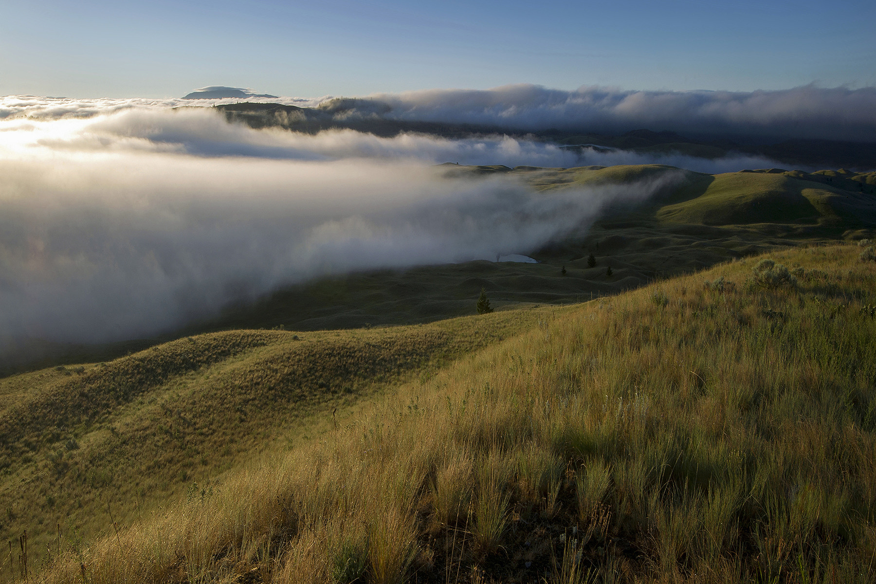 Morning fog rolling through the Lac du Bois grasslands near Kamloops at sunrise