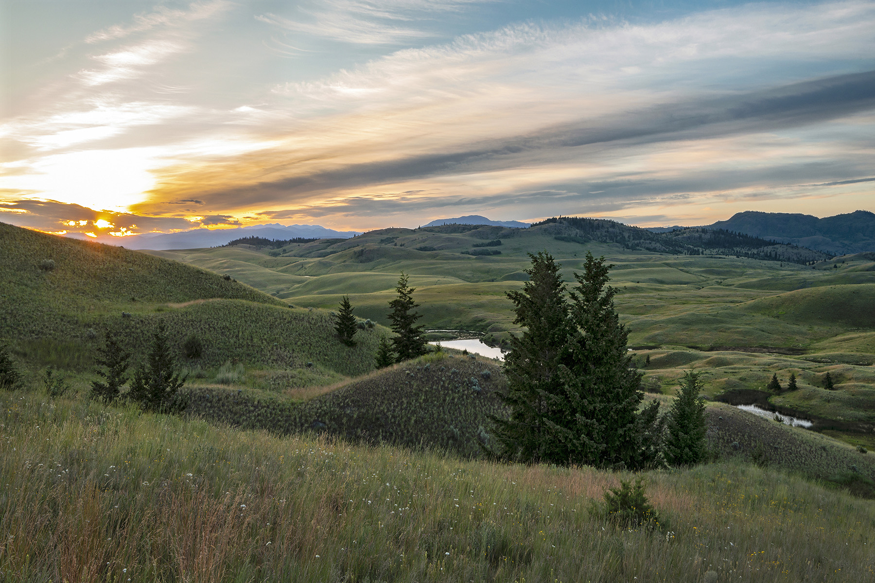 Rolling green grasslands of Lac du Bois at sunset near Kamloops